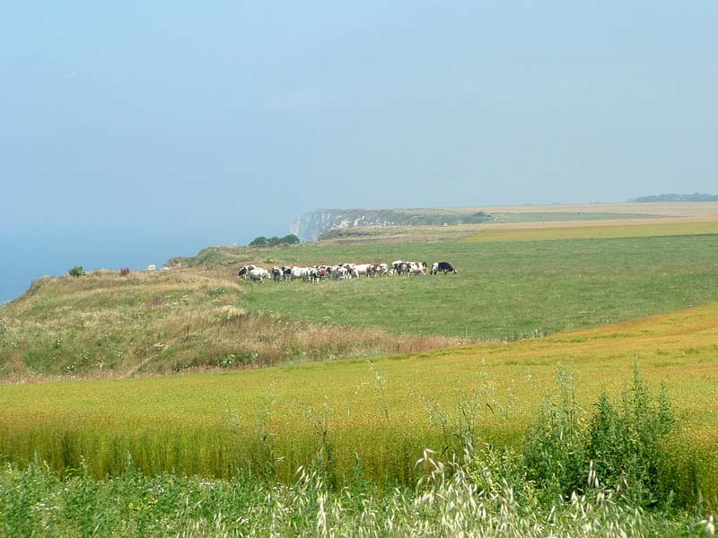 Etretat