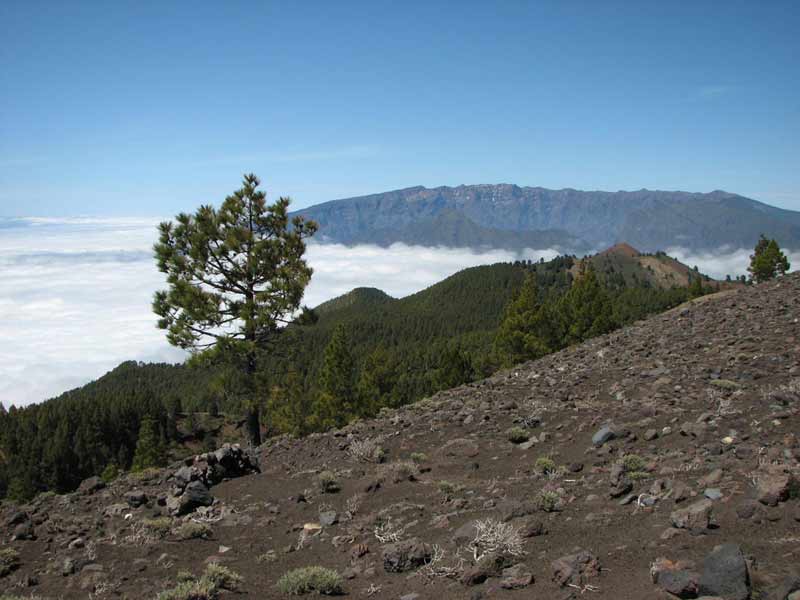 La Palma, Pico Birigoyo