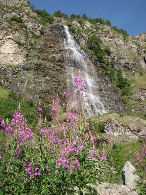 Torrent de muande bellone