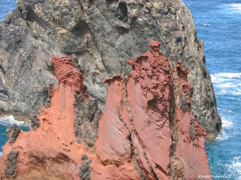 ponta de são lourenço