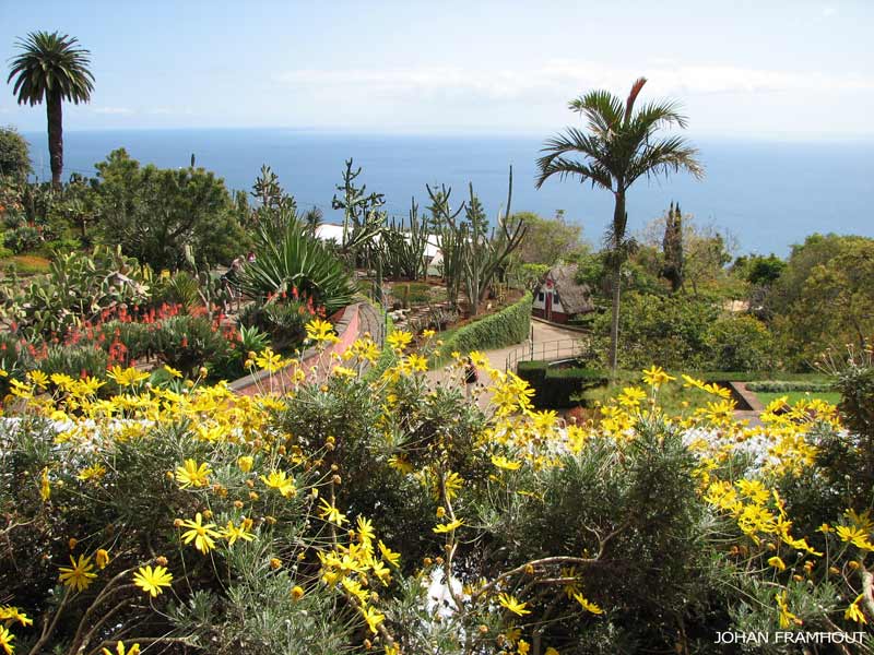 Funchal, botanische tuin