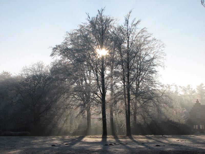 frieselhof in de winter