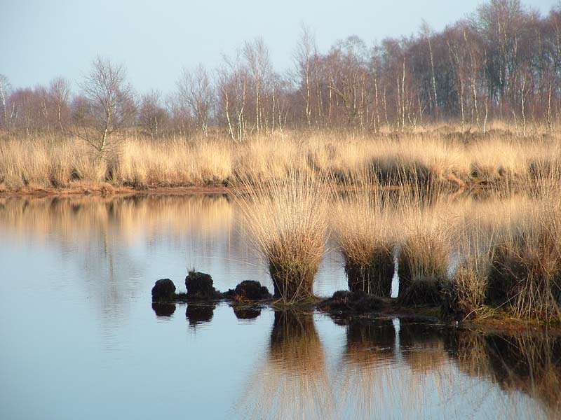 legerdomein van Wuustwezel in de winter