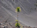 naar foto's van La Palma