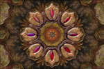 to October Rose, digital painting by Johan Framhout