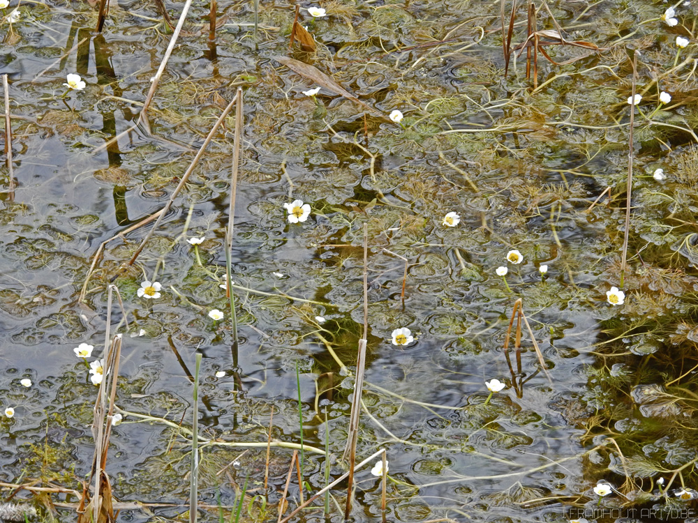 Photos of Belgium, het Zoute