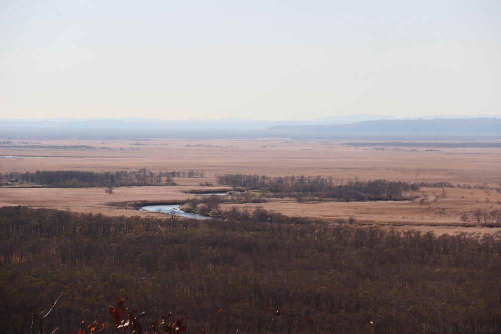 Kushiro Wetlands National Park