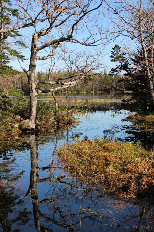 Shiretoko National Park