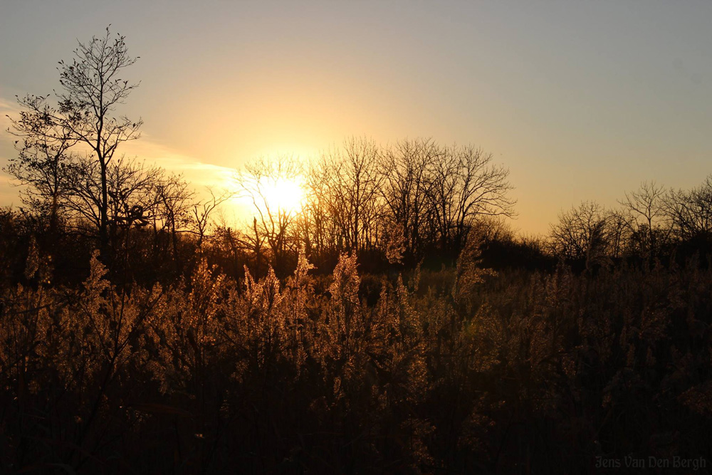 Kushiro Wetlands National Park