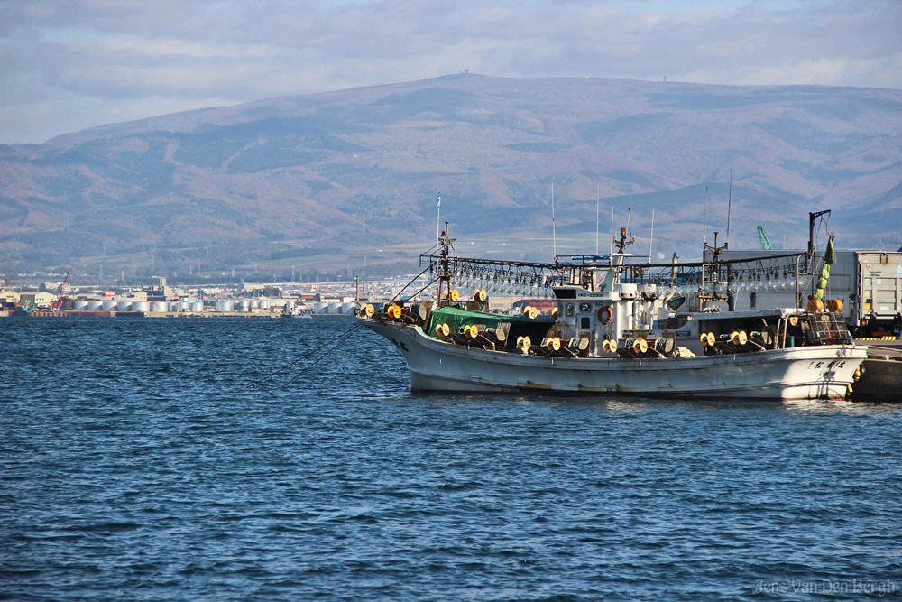 Hakodate Harbour