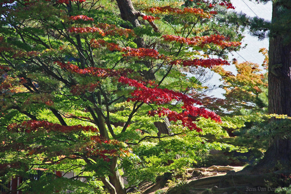 Motsu-ji, Hiraizumi, Iwate Prefecture