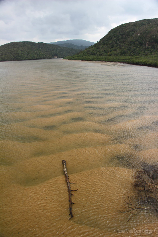 Low tide. Urauchi-gawa, Iriomote Island