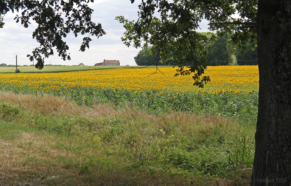 Chalon-sur-Saône