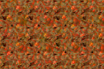 to Textures by Johan Framhout, Miscellaneous 