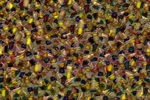 to Textures by Johan Framhout, Miscellaneous 