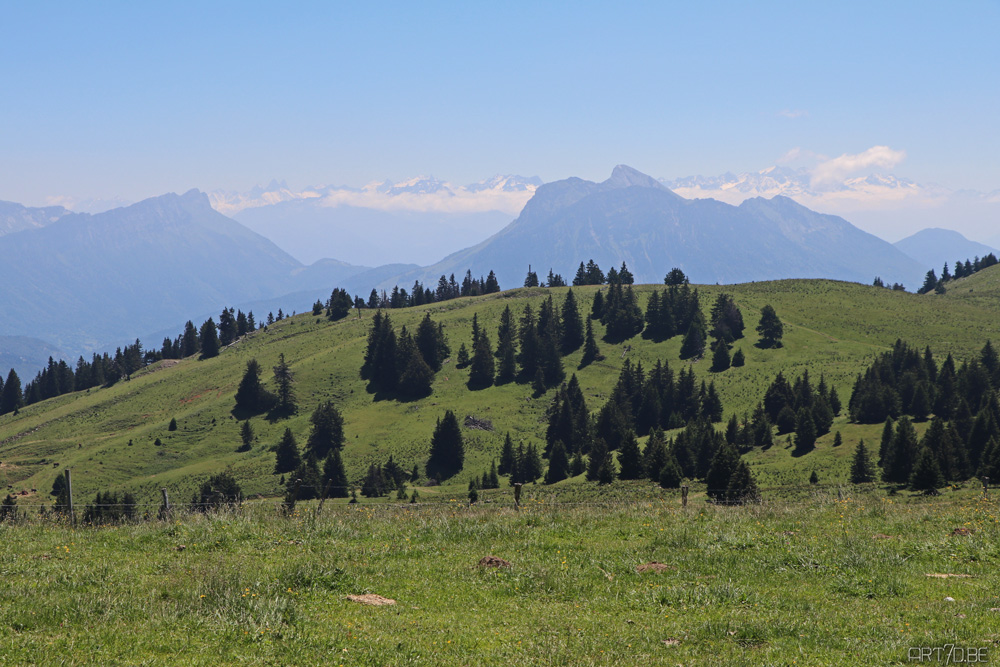 Crêt de Chatillon on art7d.be