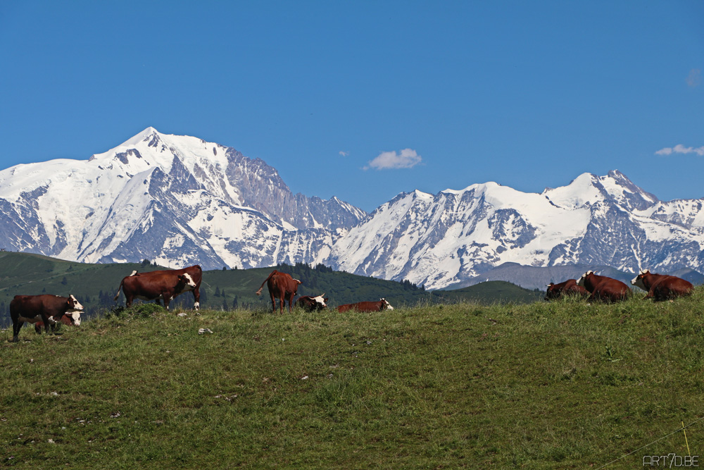 Col des Arravis on art7d.be