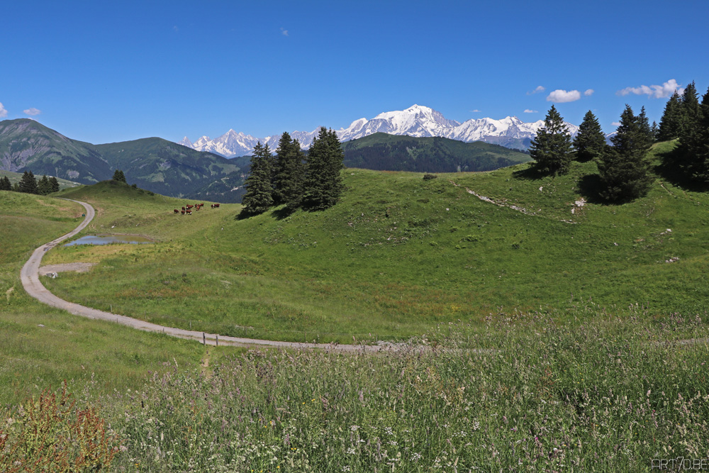 Col des Arravis on art7d.be, croix de fer