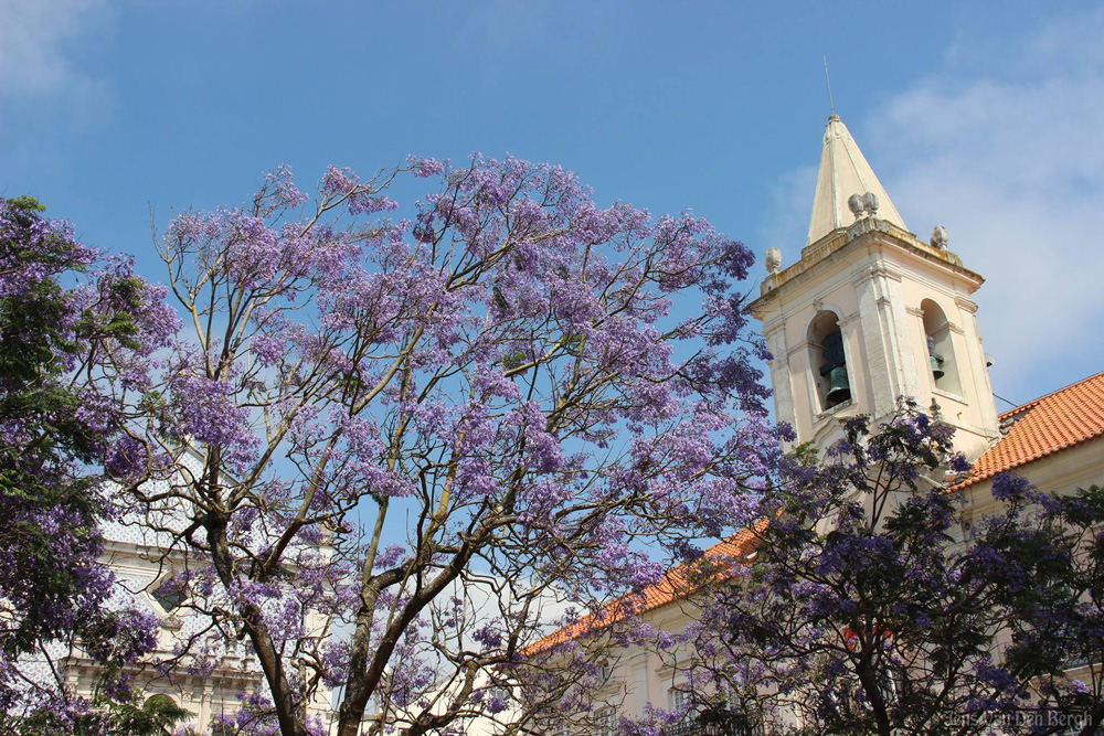 Aveiro