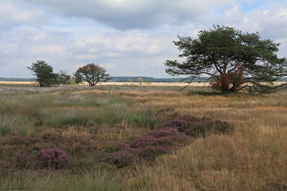 Hoge Veluwe park