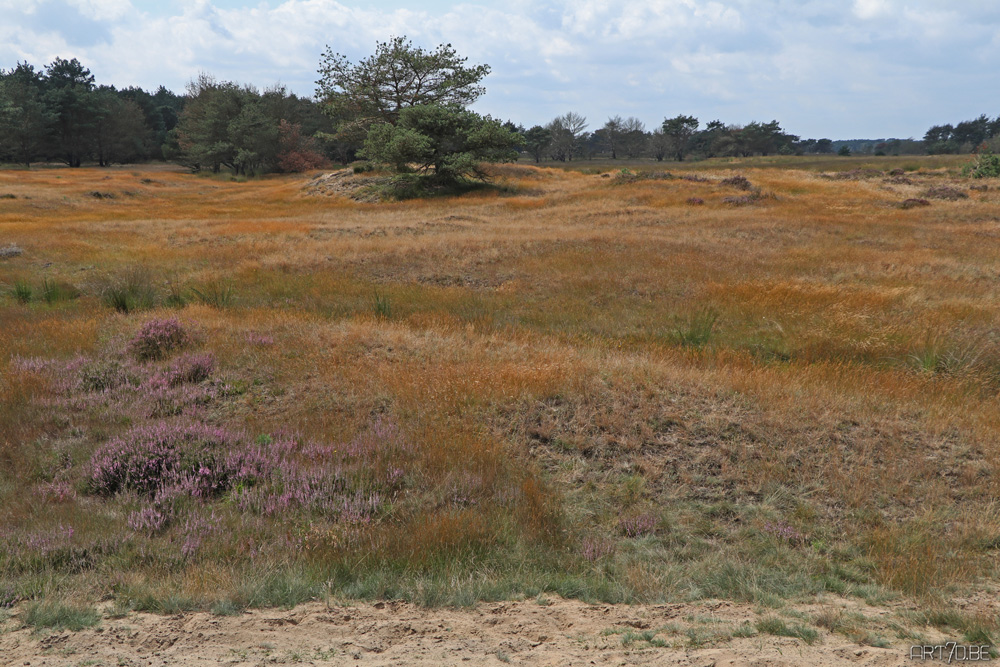 Hoge Veluwe park