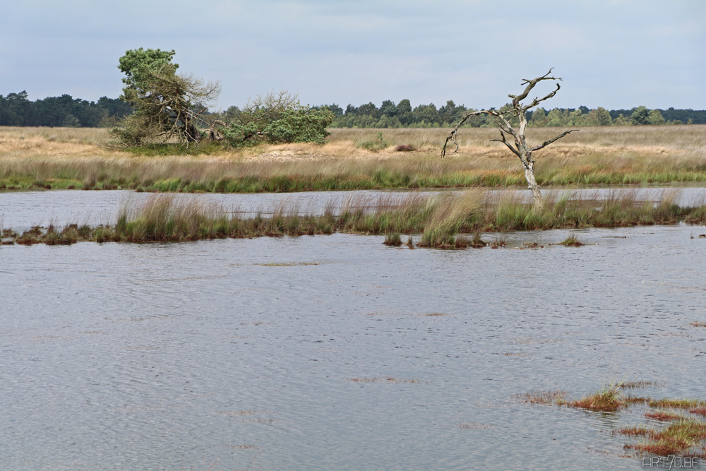 Hoge Veluwe park