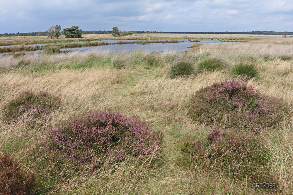 Hoge Veluwe park