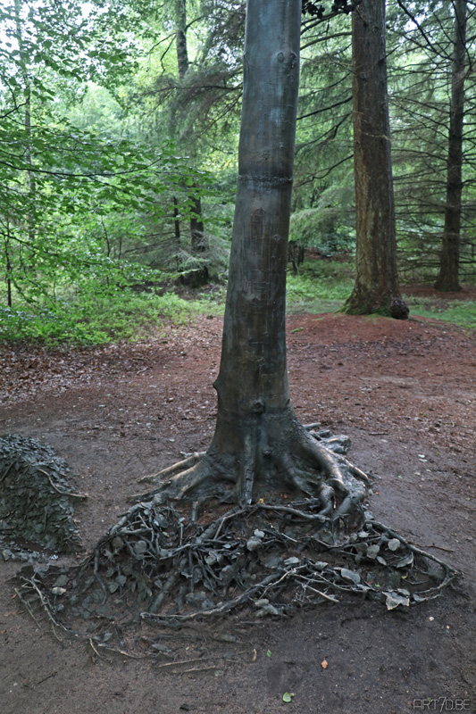 Giuseppe Penone, Faggio di Otterlo, 1987-88