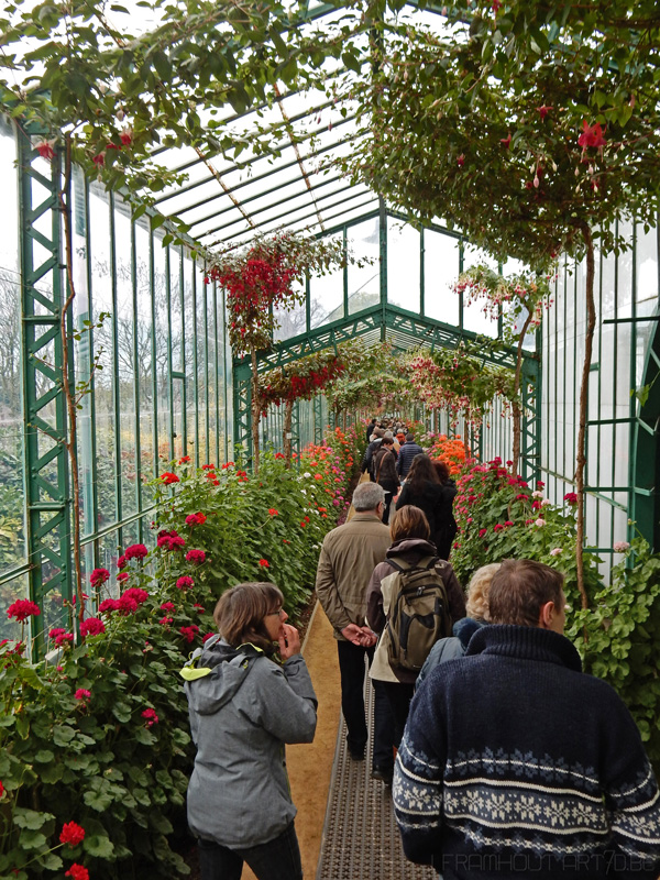 Photos of the royal greenhouses in Brussels on art7d.be