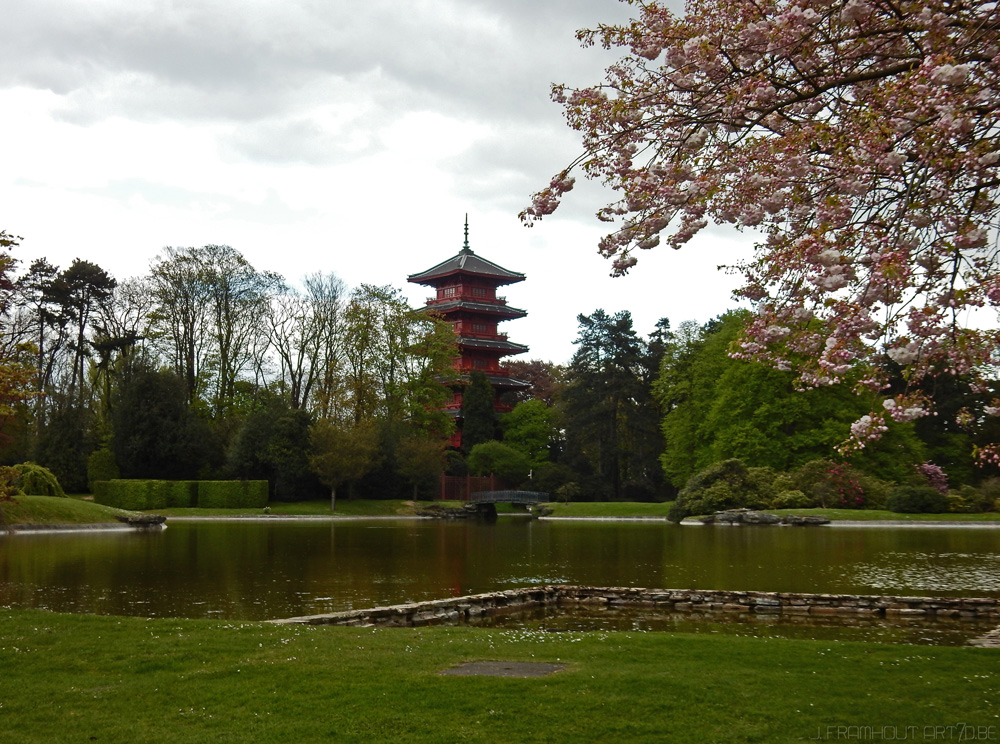 Photos of the royal greenhouses in Brussels on art7d.be