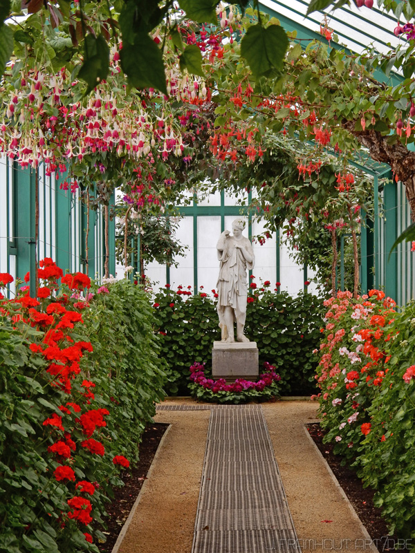 Photos of the royal greenhouses in Brussels on art7d.be