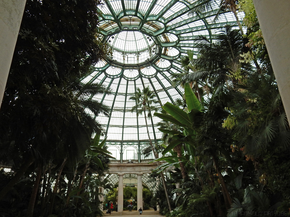 Photos of the royal greenhouses in Brussels on art7d.be