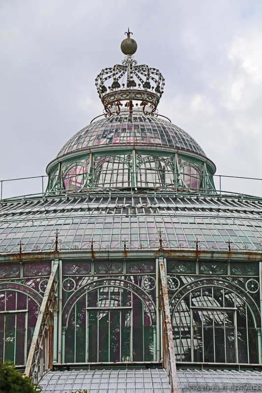 Photos of the royal greenhouses in Brussels on art7d.be