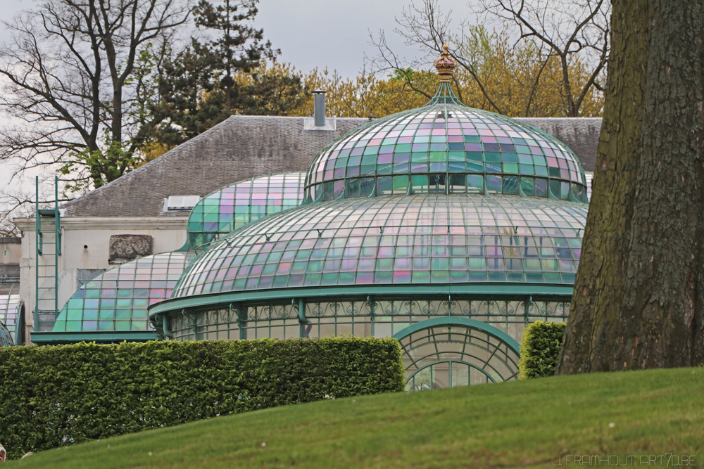 Photos of the royal greenhouses in Brussels on art7d.be