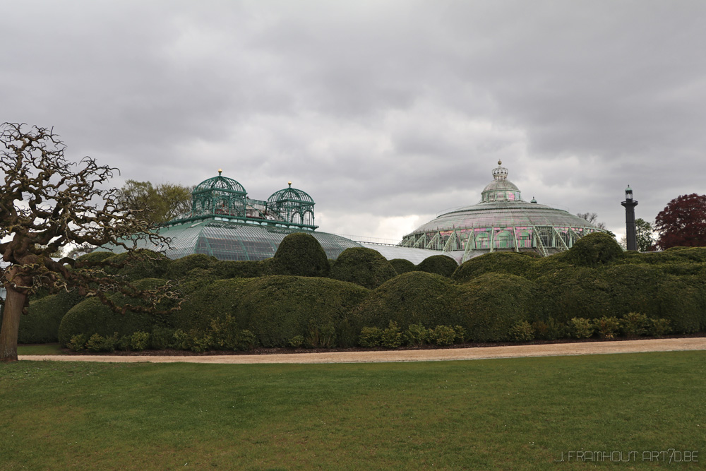 Photos of the royal greenhouses in Brussels on art7d.be