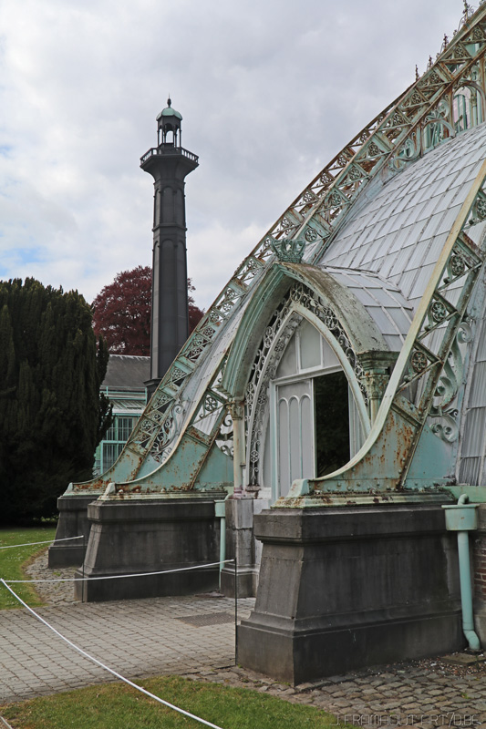 Photos of the royal greenhouses in Brussels on art7d.be