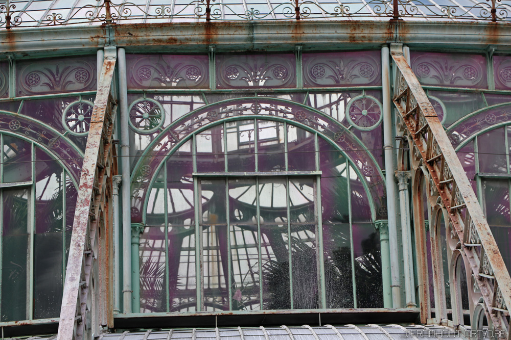 Photos of the royal greenhouses in Brussels on art7d.be