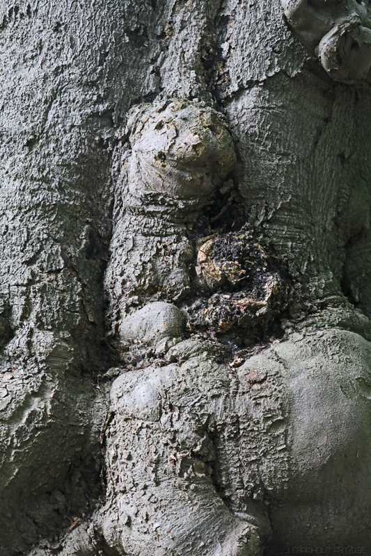 nature sculpture in the castle of  Edegem 2016_art7d_be