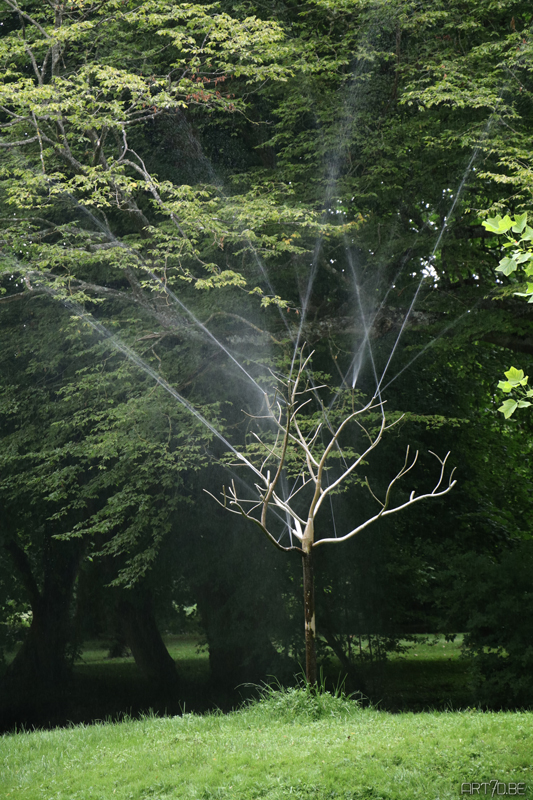 Photography, Somme and around Caen