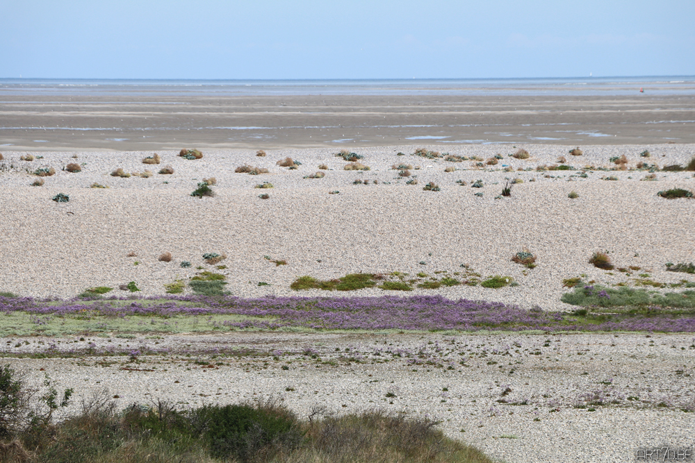 Photography, Somme and around Caen