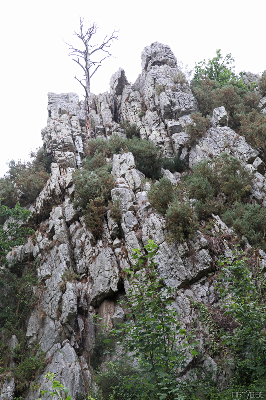 Photography, Somme and around Caen