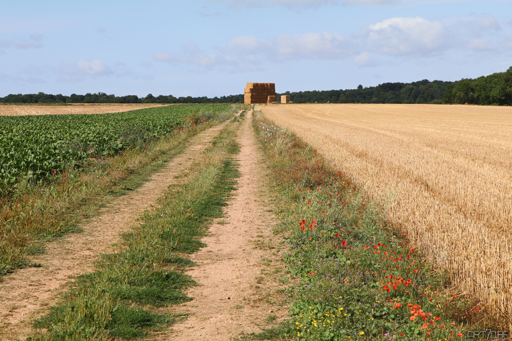 Photography, Somme and around Caen