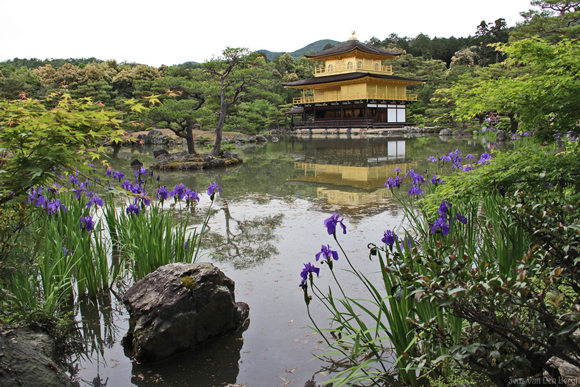 Jens Van Den Bergh, Fifth visit to Japan