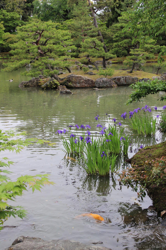 Kinkaku-ji