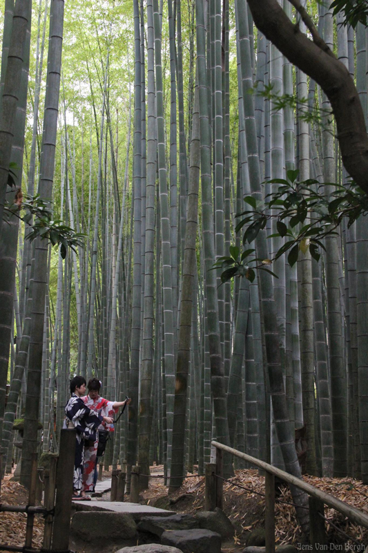 Hokoku-ji, Kamakura