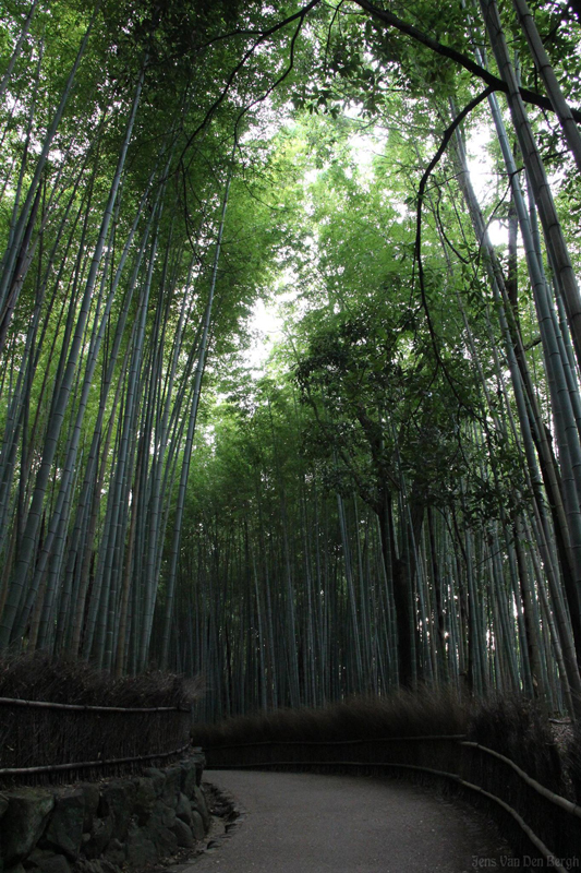 Arashiyama