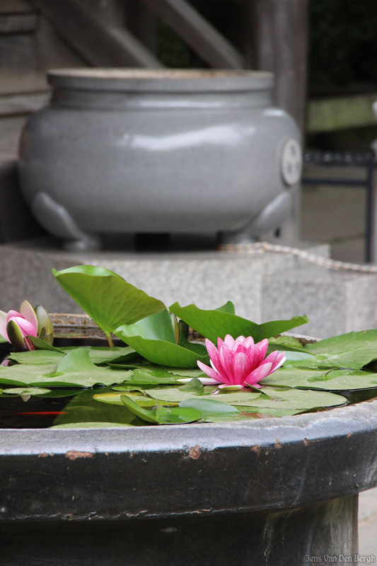 Hase dera, Kamakura