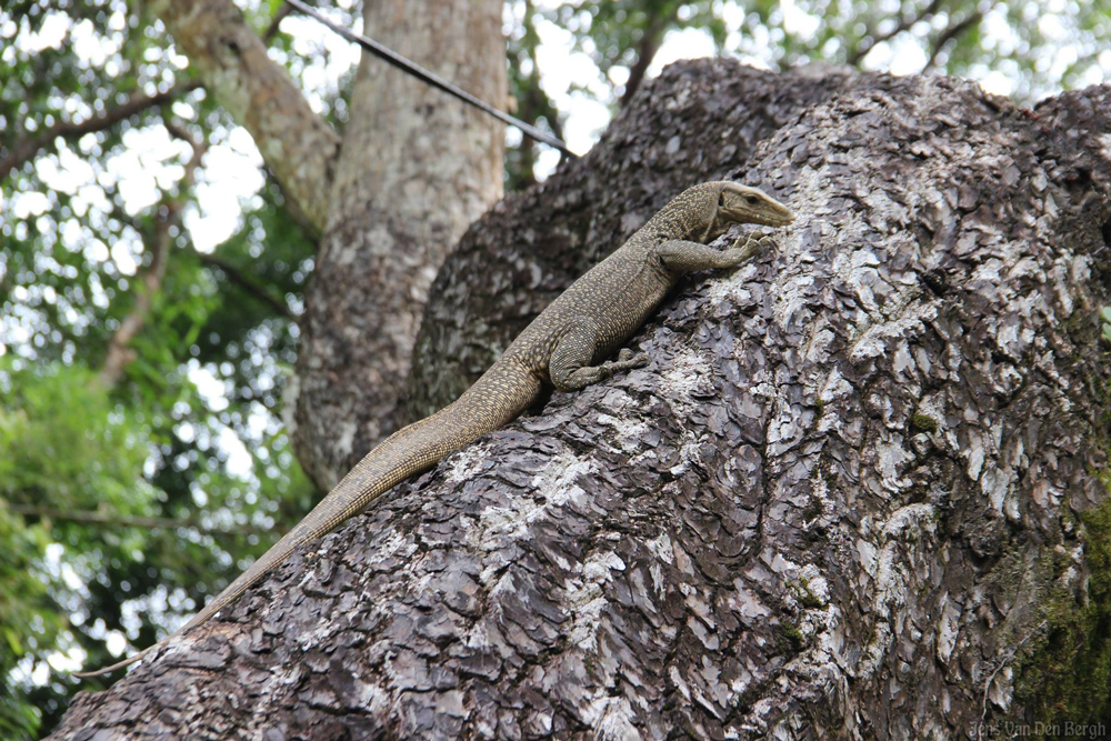 Penang