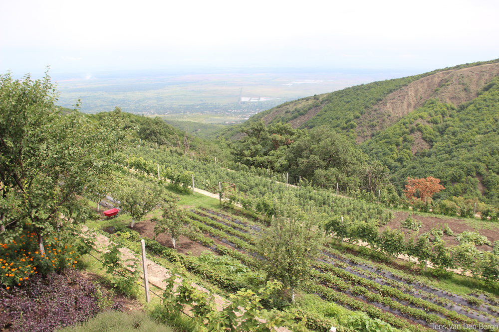 Photos by Jens Van Den Bergh, Georgia