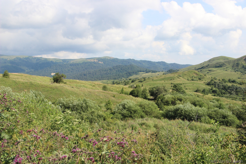 Photos by Jens Van Den Bergh, Georgia